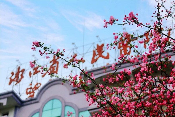 浙江省人民医院望江山院区