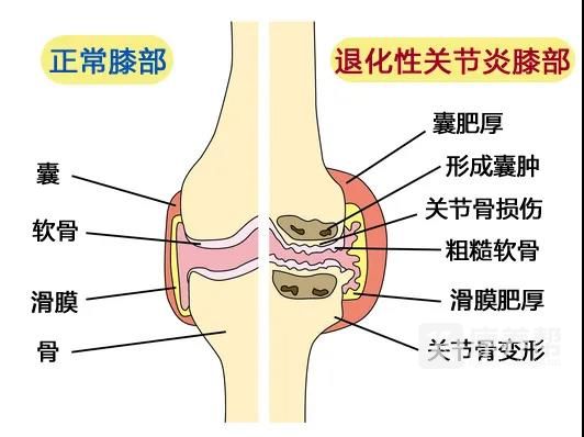 微信图片_20211228151708.jpg