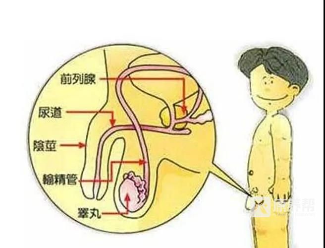 微信图片_20211228165511.jpg
