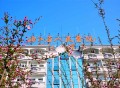 浙江省人民医院望江山院区