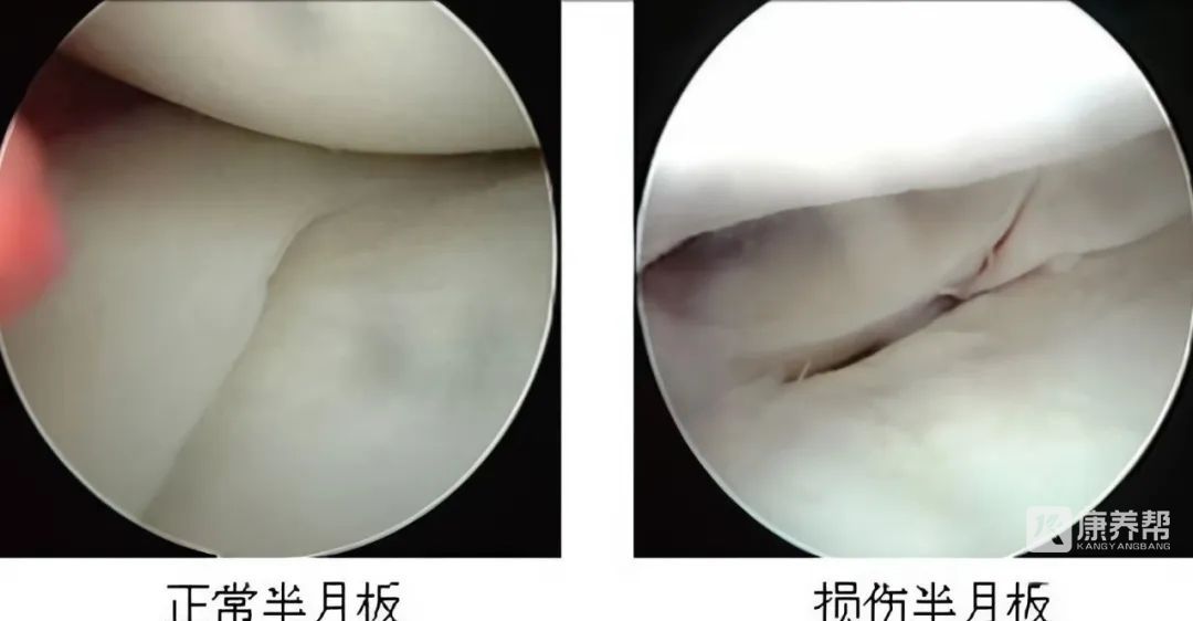 640 - 2022-12-26T165251.845.jpg