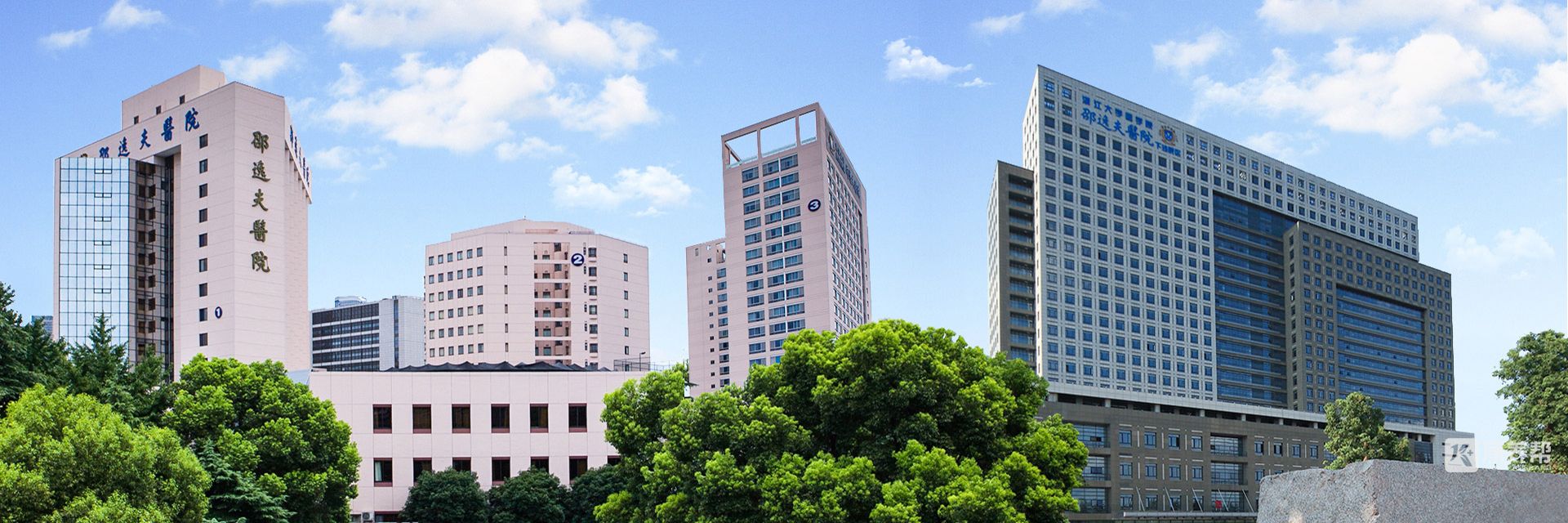 banner03.jpg