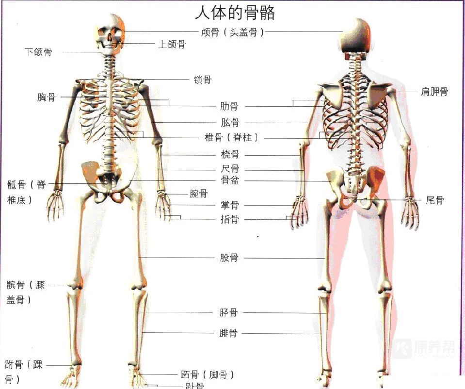 0e297b5dc4ba2d8c13e630adf816b737.jpeg