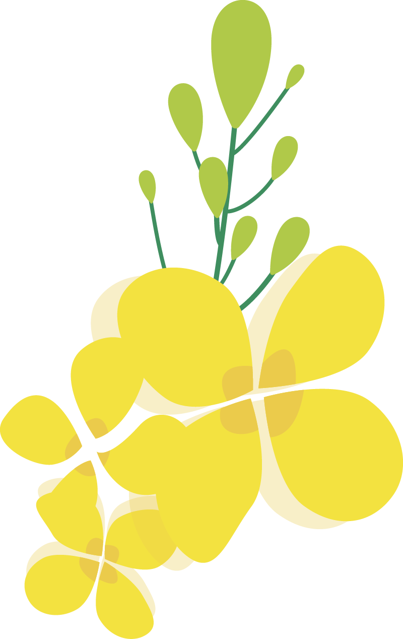 640 (44).png