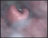 640 (3).gif