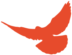 640 (18).png