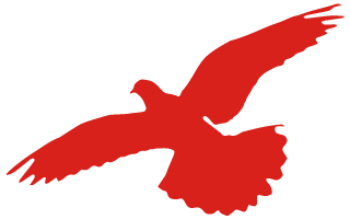 640 (17).png