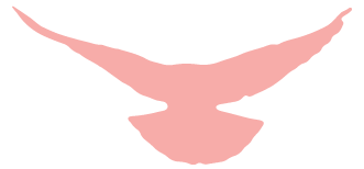 640 (19).png