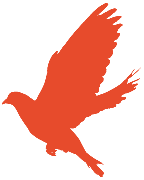 640 (20).png