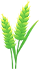 640 (38).png