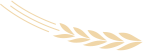 640 - 2022-08-03T180820.494.png