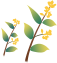 640 (80).png