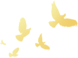640 - 2022-10-15T163107.128.png