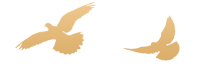 640 - 2022-10-18T163906.415.png