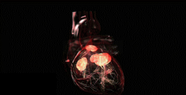 640 - 2022-10-22T144249.159.gif