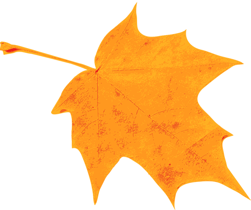 640 - 2022-10-25T233002.990.png
