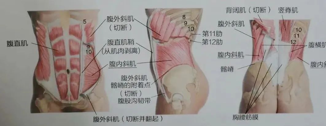 640 - 2022-11-08T154813.764.jpg