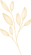 640 - 2022-11-11T172403.885.png