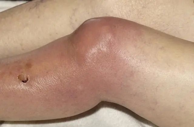 640 - 2022-12-02T163644.970.jpg