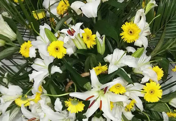 76b98e325ccacd5d4ffa4d5a2c7d39b631c2bdea.png image.png