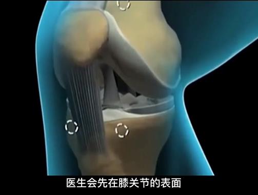 微信图片_20221210190819.jpg