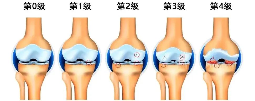 640 - 2022-12-29T112410.224.jpg