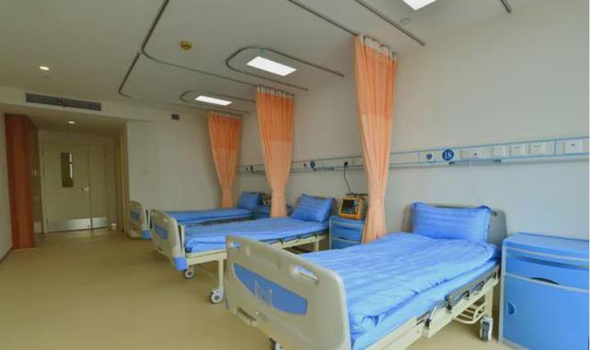 下载 - 2023-01-12T171525.344.jpg
