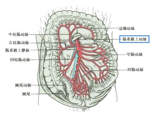 640 (5).png