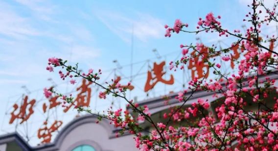 微信图片_20230310175343.png