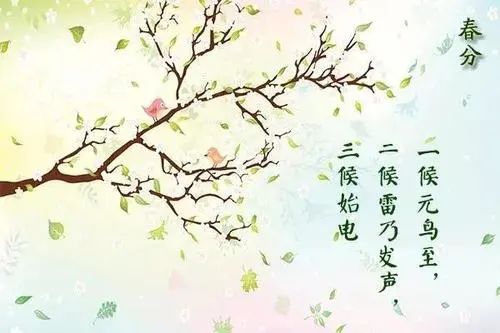 168439656278c0ad.jpg