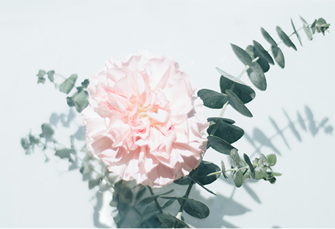 640 - 2023-06-01T155100.318.png