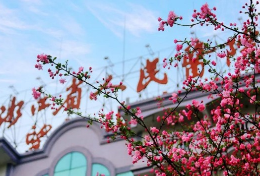 图片.png